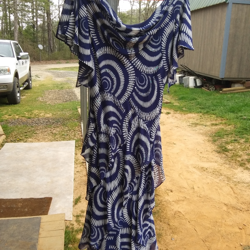 Blue & White Dress